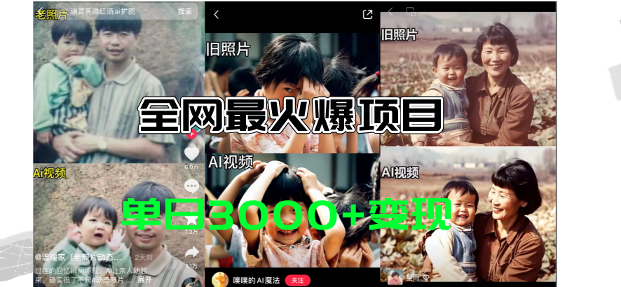 （11546期）全网爆火的AI让老照片动起来教程，蹭热点日赚3000+，内含免费工具一键…-网创项目总站