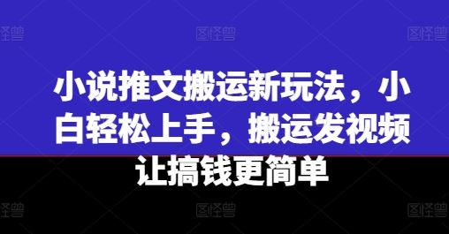 小说推文搬运新玩法，小白轻松上手，搬运发视频让搞钱更简单-网创项目总站