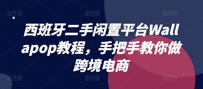 西班牙二手闲置平台Wallapop教程，手把手教你做跨境电商-网创项目总站