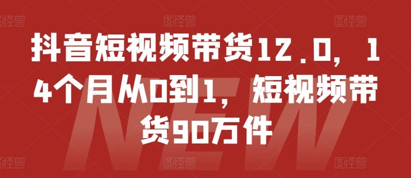 抖音短视频带货12.0,14个月从0到1,短视频带货90万件-网创项目总站