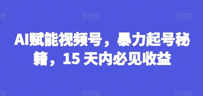 AI赋能视频号，暴力起号秘籍，15 天内必见收益【揭秘】-网创项目总站