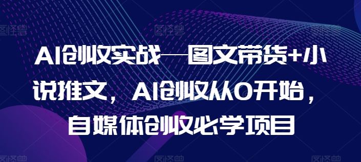 AI创收实战—图文带货+小说推文，AI创收从0开始，自媒体创收必学项目-网创项目总站