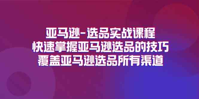 亚马逊选品实战课程，快速掌握亚马逊选品的技巧，覆盖亚马逊选品所有渠道-网创项目总站