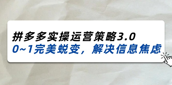（11658期）2024_2025拼多多实操运营策略3.0，0~1完美蜕变，解决信息焦虑（38节）-网创项目总站
