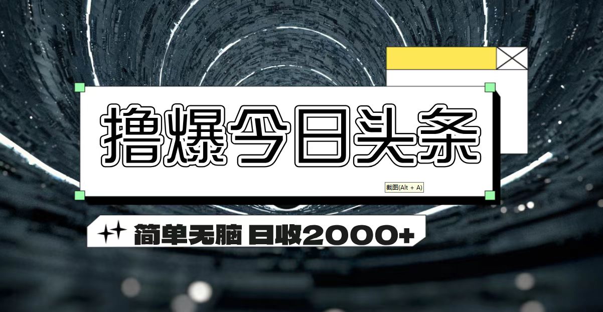 （11665期）撸爆今日头条 简单无脑操作 日收2000+-网创项目总站