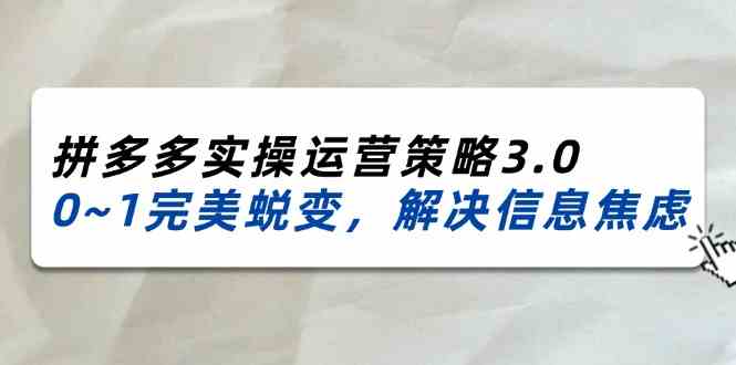 2024-2025拼多多实操运营策略3.0,0~1完美蜕变,解决信息焦虑(38节)-网创项目总站