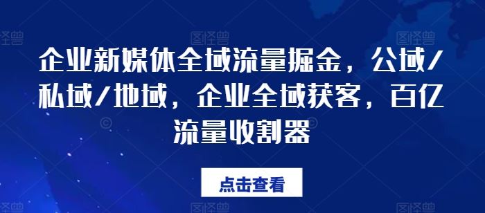 企业新媒体全域流量掘金，公域/私域/地域，企业全域获客，百亿流量收割器-网创项目总站