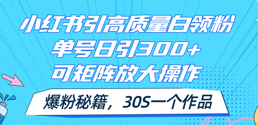 （11692期）小红书引高质量白领粉，单号日引300+，可放大操作，爆粉秘籍！30s一个作品-网创项目总站