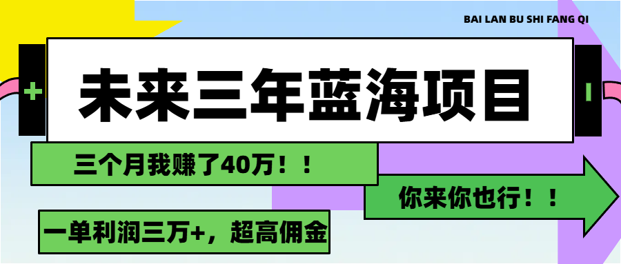 （11716期）未来三年，蓝海赛道，月入3万+-网创项目总站