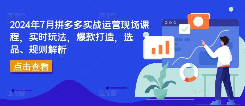2024年7月拼多多实战运营现场课程，实时玩法，爆款打造，选品、规则解析-网创项目总站