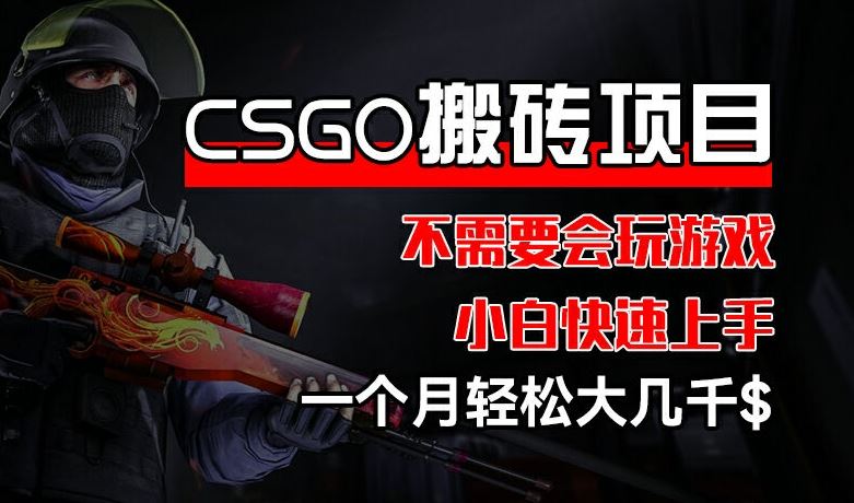 CSGO 装备搬砖项目，操作简单，不需要会玩游戏，小白也能快速上手，一个月轻松大几千【揭秘】-网创项目总站