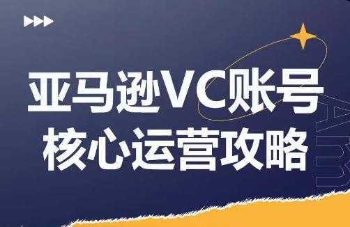 亚马逊VC账号核心玩法解析，实战经验拆解产品模块运营技巧，提升店铺GMV，有效提升运营利润-网创项目总站