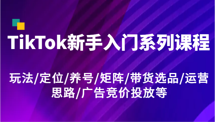 TikTok新手入门系列课程，玩法/定位/养号/矩阵/带货选品/运营思路/广告竞价投放等-网创项目总站