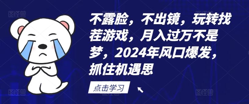 不露脸，不出镜，玩转找茬游戏，月入过万不是梦，2024年风口爆发，抓住机遇【揭秘】-网创项目总站