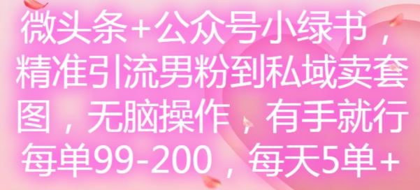微头条+公众号小绿书，精准引流男粉到私域卖套图，无脑操作，有手就行，每单99-200，每天5单-网创项目总站