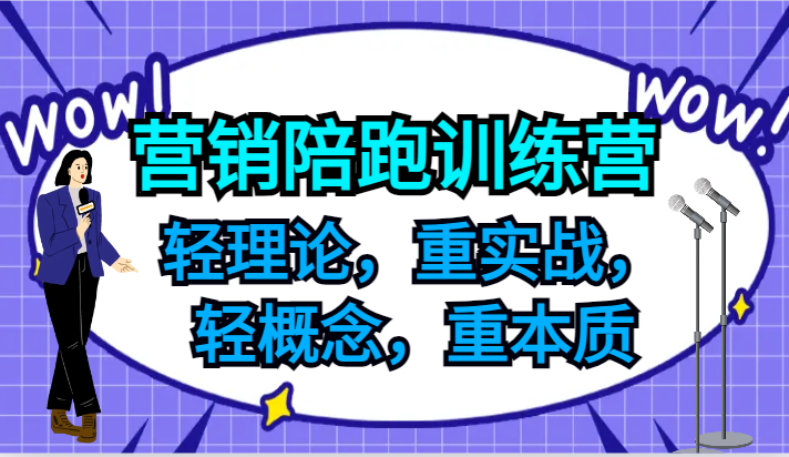 营销陪跑训练营，轻理论，重实战，轻概念，重本质，适合中小企业和初创企业的老板-网创项目总站