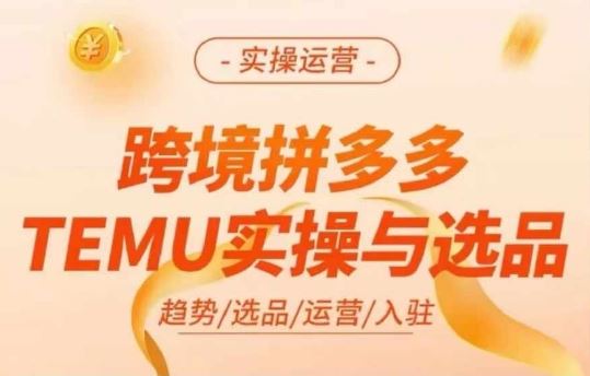 跨境拼多多TEMU实操与选品，多多temu跨境选品运营实操-网创项目总站