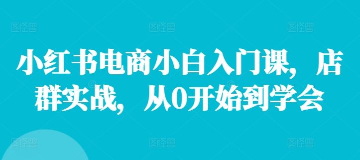 小红书电商小白入门课，店群实战，从0开始到学会-网创项目总站