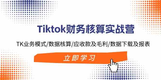 Tiktok财务核算实战营：TK业务模式/数据核算/应收款及毛利/数据下载及报表-网创项目总站