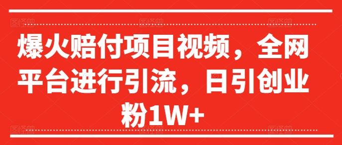 爆火赔付项目视频，全网平台进行引流，日引创业粉1W+【揭秘】-网创项目总站