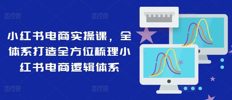 小红书电商实操课，全体系打造全方位梳理小红书电商逻辑体系-网创项目总站