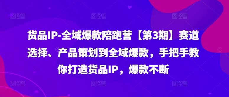 货品IP全域爆款陪跑营【第3期】赛道选择、产品策划到全域爆款，手把手教你打造货品IP，爆款不断-网创项目总站