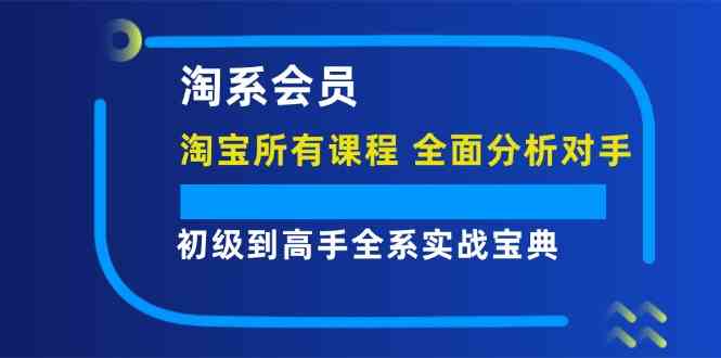 淘系会员初级到高手全系实战宝典【淘宝所有课程,全面分析对手】-网创项目总站
