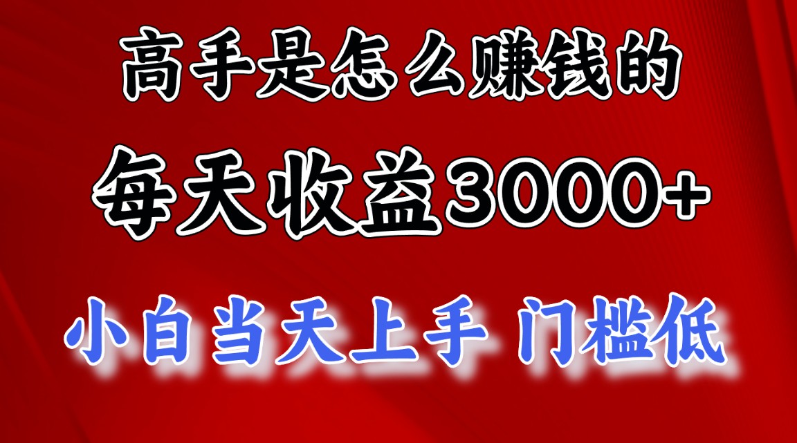 （12144期）1天收益3000+，月收益10万以上，24年8月份爆火项目-网创项目总站