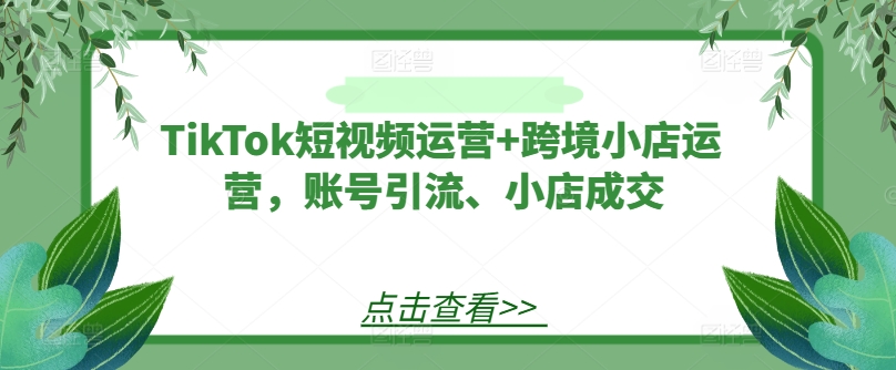 TikTok短视频运营+跨境小店运营，账号引流、小店成交-网创项目总站