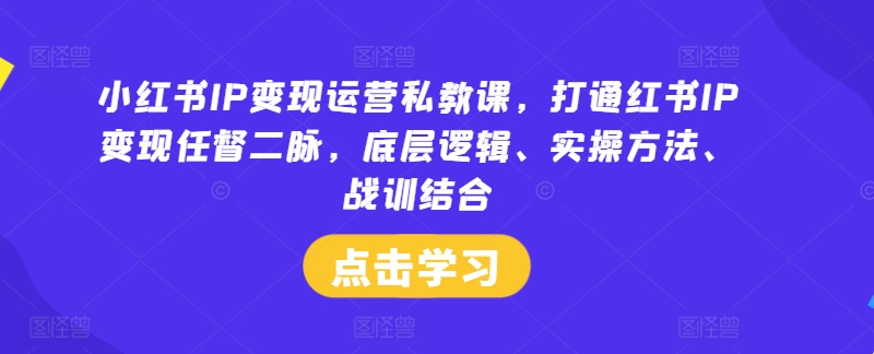 小红书IP变现运营私教课,打通红书IP变现任督二脉,底层逻辑、实操方法、战训结合-网创项目总站
