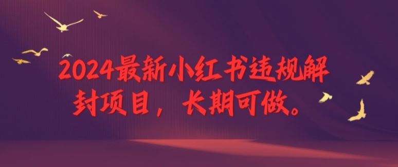 2024最新小红书违规解封项目，长期可做，一个可以做到退休的项目【揭秘】-网创项目总站