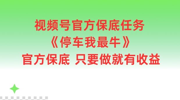 视频号官方保底任务，停车我最牛，官方保底只要做就有收益【揭秘】-网创项目总站