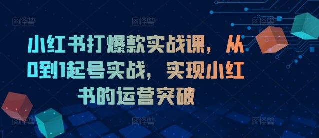 小红书打爆款实战课，从0到1起号实战，实现小红书的运营突破-网创项目总站