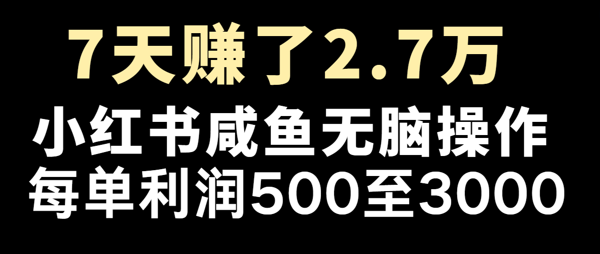七天赚了2.7万！每单利润最少500+，轻松月入5万+小白有手就行-网创项目总站