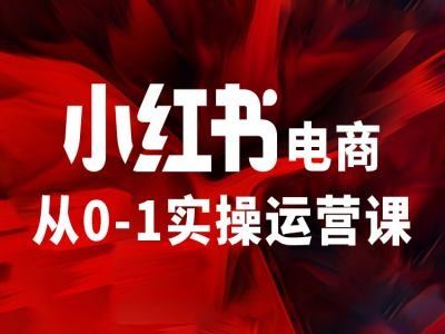 小红书电商从0-1实操运营课，让你从小白到精英-网创项目总站