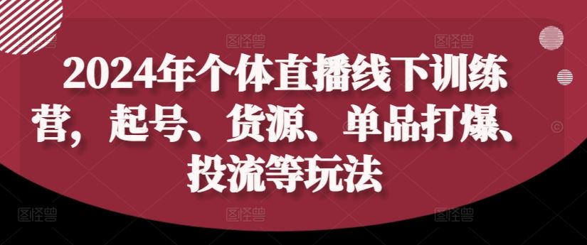 2024年个体直播训练营，起号、货源、单品打爆、投流等玩法-网创项目总站