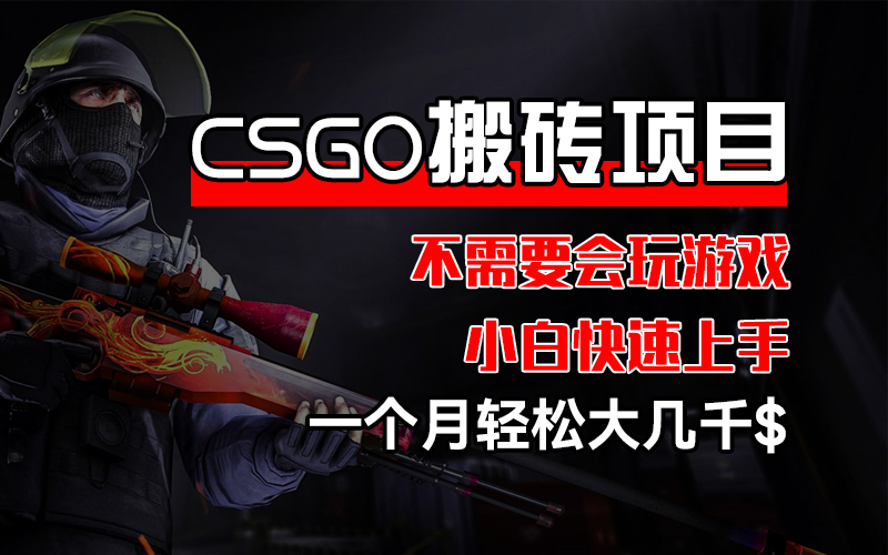 (12332期)CSGO 装备搬砖项目,操作简单,不需要会玩游戏,小白也能快速上手,一…-网创项目总站