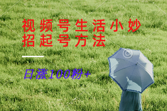 视频号生活小妙招分享赛道， 起号涨粉新方法，日涨100粉-网创项目总站