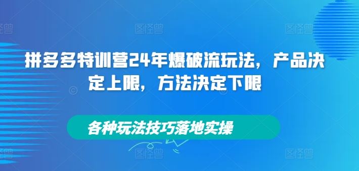 拼多多特训营24年爆破流玩法，产品决定上限，方法决定下限，各种玩法技巧落地实操-网创项目总站