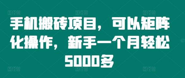 手机搬砖项目，可以矩阵化操作，新手一个月轻松5000多-网创项目总站