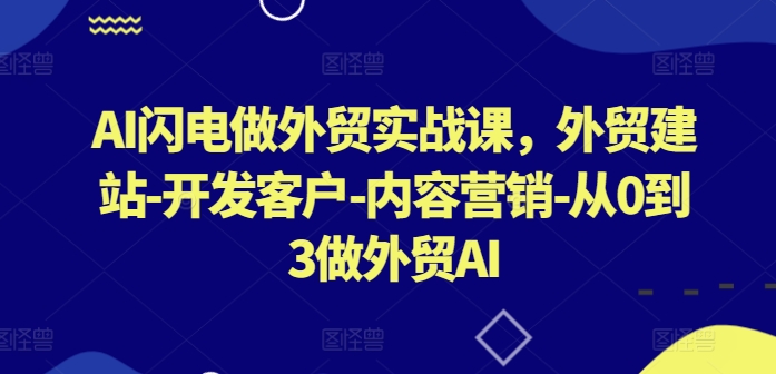 AI闪电做外贸实战课,外贸建站-开发客户-内容营销-从0到3做外贸AI(更新)-网创项目总站
