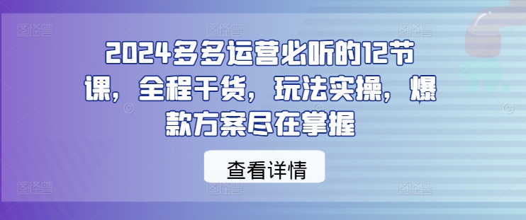 2024多多运营必听的12节课，全程干货，玩法实操，爆款方案尽在掌握-网创项目总站