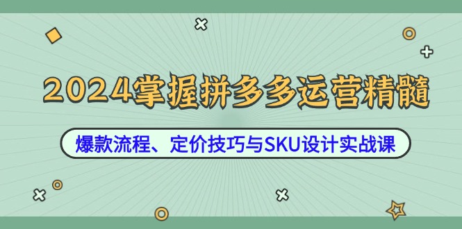 2024掌握拼多多运营精髓：爆款流程、定价技巧与SKU设计实战课-网创项目总站