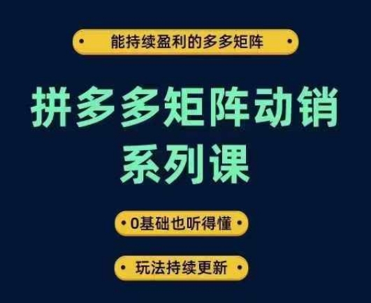 拼多多矩阵动销系列课，能持续盈利的多多矩阵，0基础也听得懂，玩法持续更新-网创项目总站