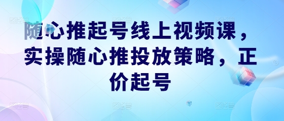 随心推起号线上视频课，实操随心推投放策略，正价起号-网创项目总站