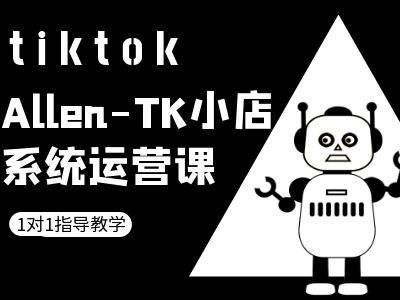 TK小店系统运营课-tiktok跨境电商教程-网创项目总站