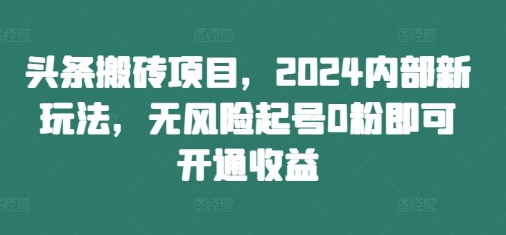 头条搬砖项目,2024内部新玩法,无风险起号0粉即可开通收益-网创项目总站