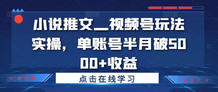 小说推文—视频号玩法实操,单账号半月破5000+收益-网创项目总站