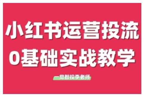 小红书运营投流，小红书广告投放从0到1的实战课，学完即可开始投放-网创项目总站