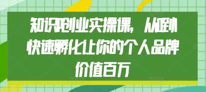 知识IP创业实操课，从0到1快速孵化让你的个人品牌价值百万-网创项目总站